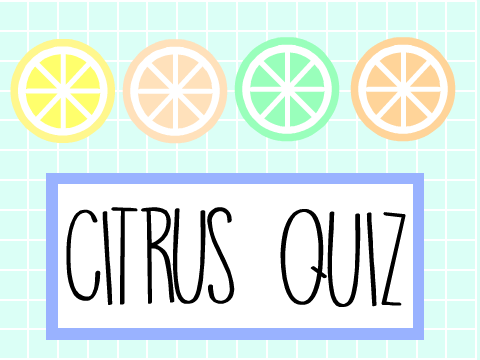What Citrus are You? II Quiz
