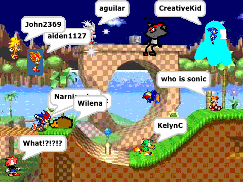 Add Your HedgehogWhatever To Green Hill Zone![1]