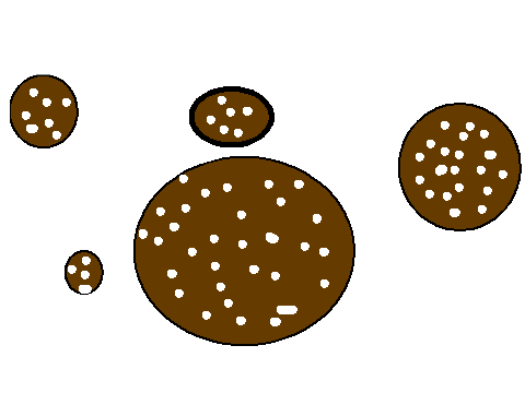 the mistery of the cookies