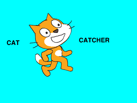 Cat Catcher