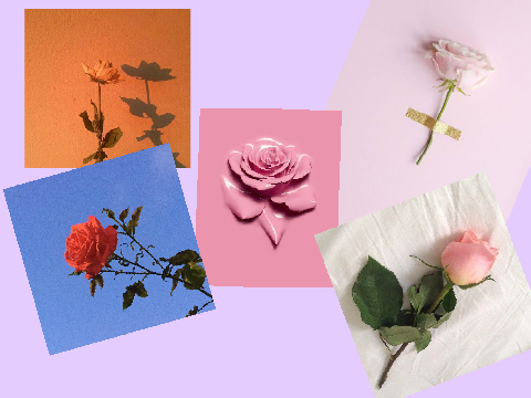 Birthday Aesthetic Contest ~ REMIX