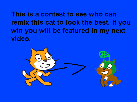 Cat Contest[1]