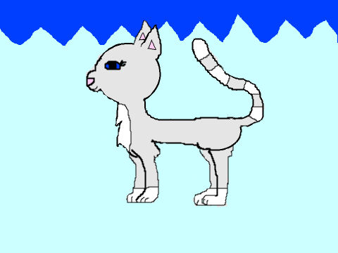 Cat Drawing