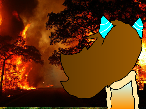 Gift Fire Neko I see Fire