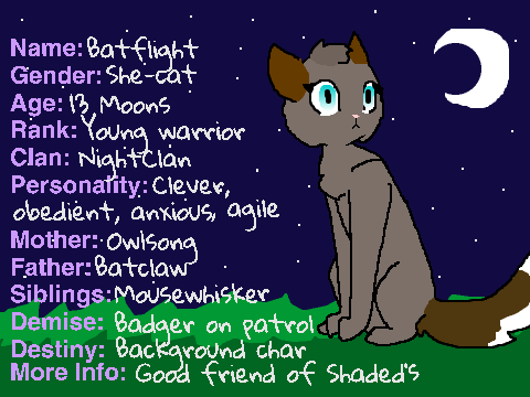 Warrior Cats Maker! remix- Batflight