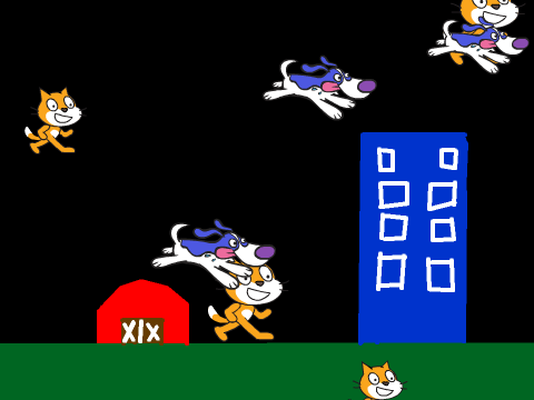Its Raining Cats and Dogs