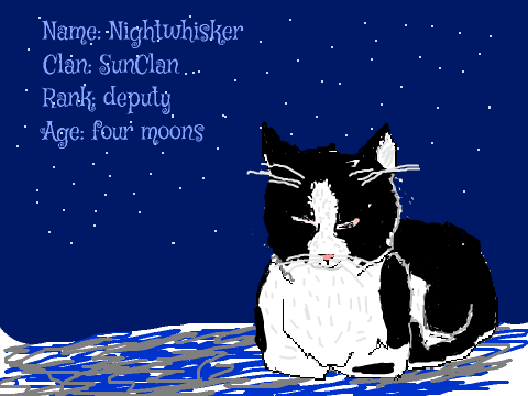 Sunclan Introduction: Nightwhisker
