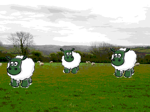 Sheep- interactive