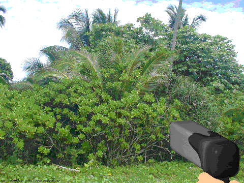 IGun