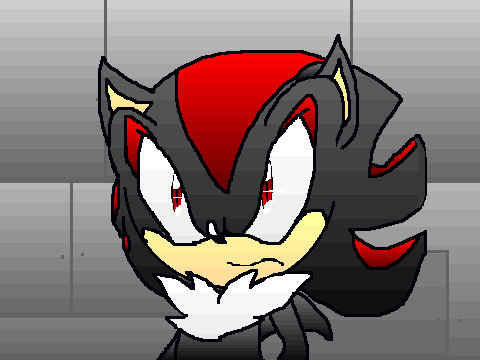 Shadow the Hedgehog Can Fly?!