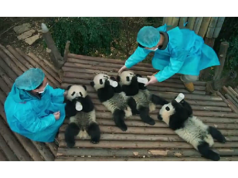 AWWWWWWWWWWWWWWWWWWWWWW!!!