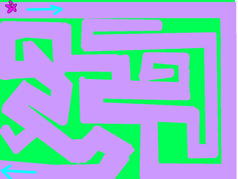 Starfish Maze ~ Homework