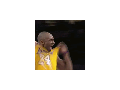 kobe bryant, michel jordan mix (hall of fame) 