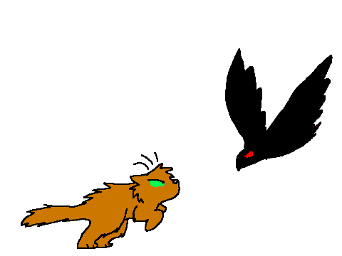 Catfight remix
