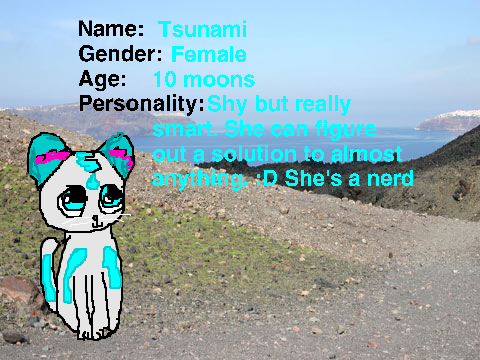 .:Wildcat Adoptions:. remix