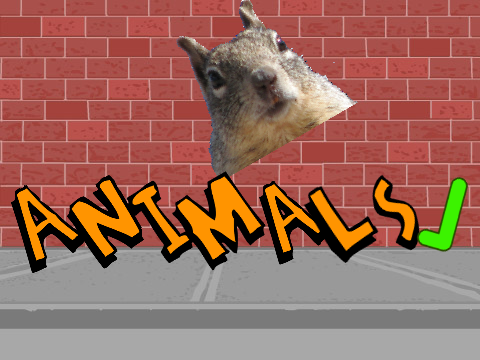 animals