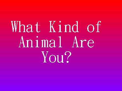 Animal Personality Quiz