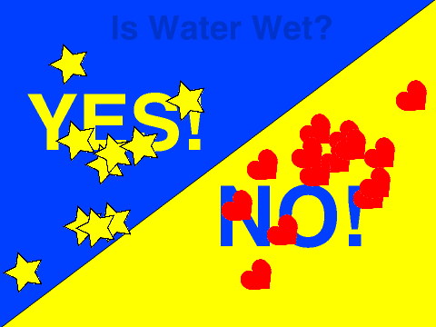 Is water wet?