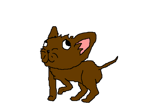First bitmap cat!