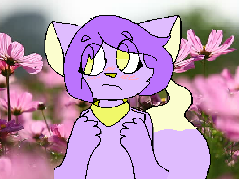 moestep // meme