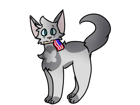American Reed