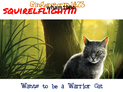 Remix if you want to be a Warrior remix remix