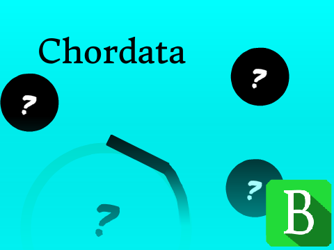 Chordata
