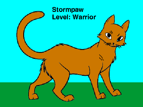 Warrior Contest