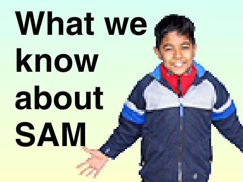 What we know about SAM