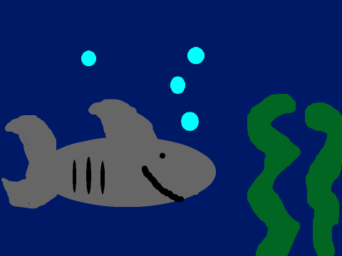 Shark