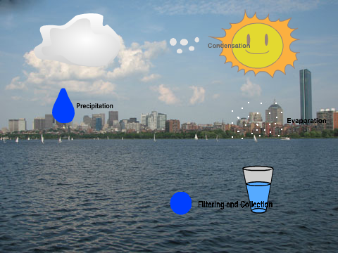  Basic Water Cycle 