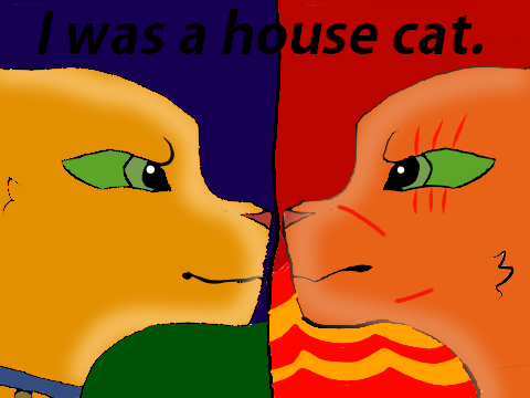 kitty pets can be warriors! cc  *open* remix