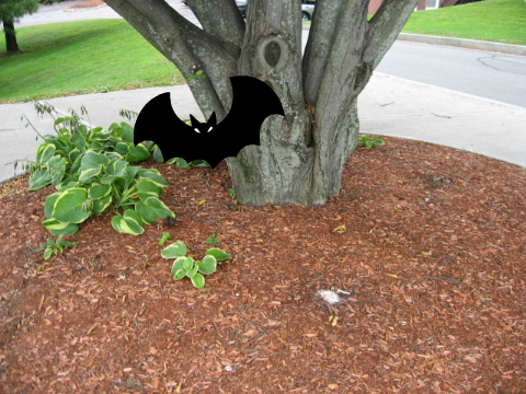 Bat tree project four