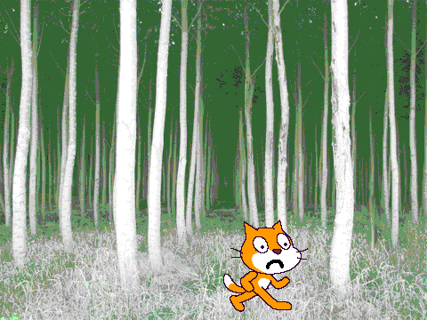 lost in the woods