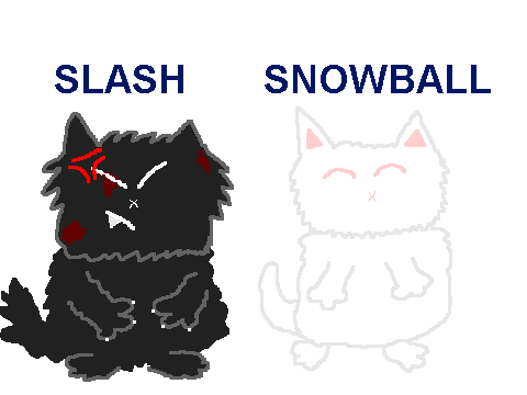cats
