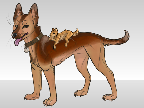 Starrynightaboves dog