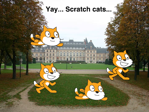 Scratch cat's...