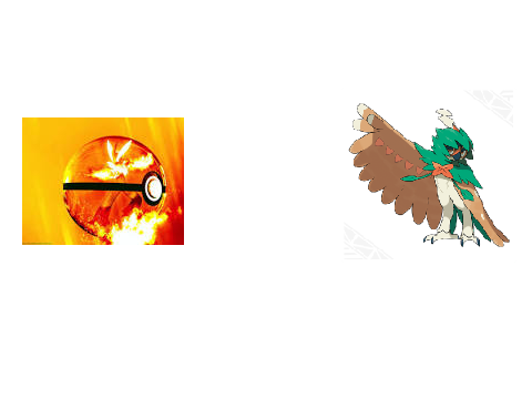 When TorchicStar meets his other self