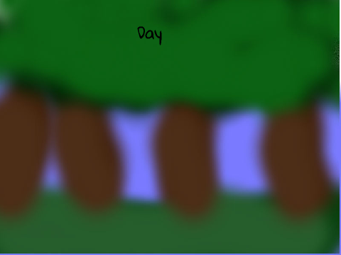 AiB Backdrop Contest! Forest!