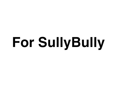 SullyBully Test