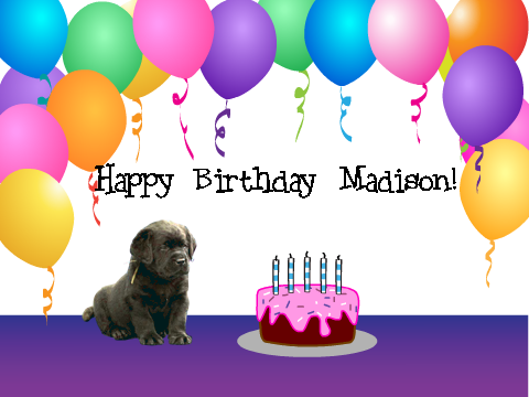 Happy Birthday Madison!