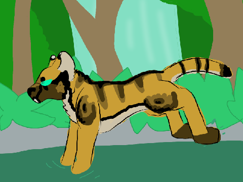 Tiger Run Cycle