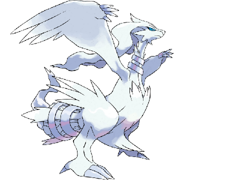 Reshiram