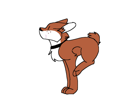 Run boy
