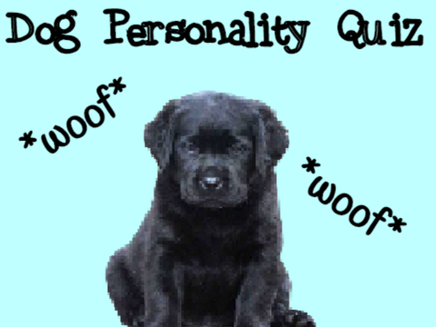 Dog Personality Quiz