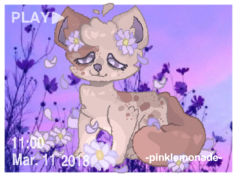 600+ DTA ! -entry-