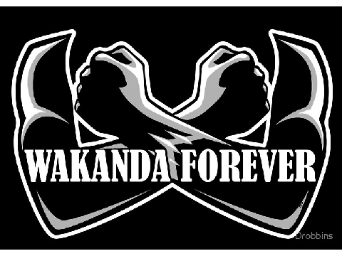 Wakanda Forever Black Panther Ep.3