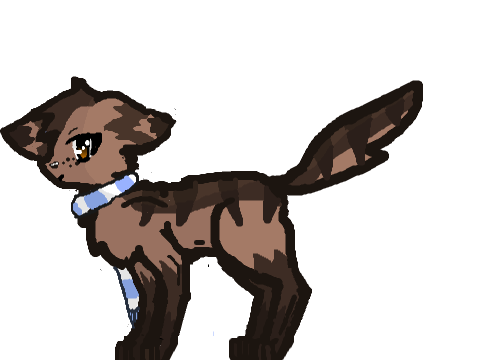 Oak Tail Is one of my favourite RP cats.