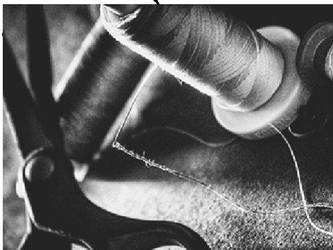 dressmaker