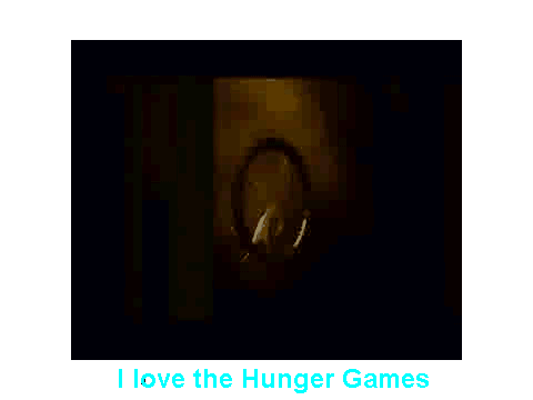 the hunger games